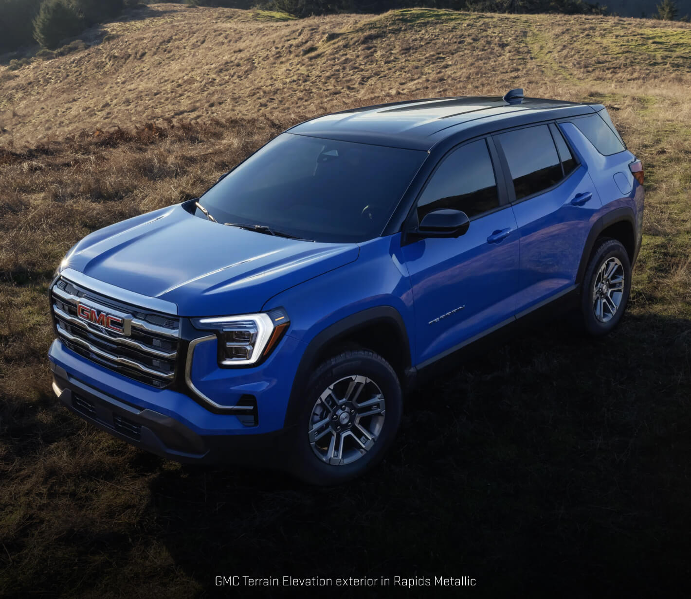 GMC Terrain Elevation in Rapids Metallic showcasing its black two-tone roof parked on a grassy hillside.