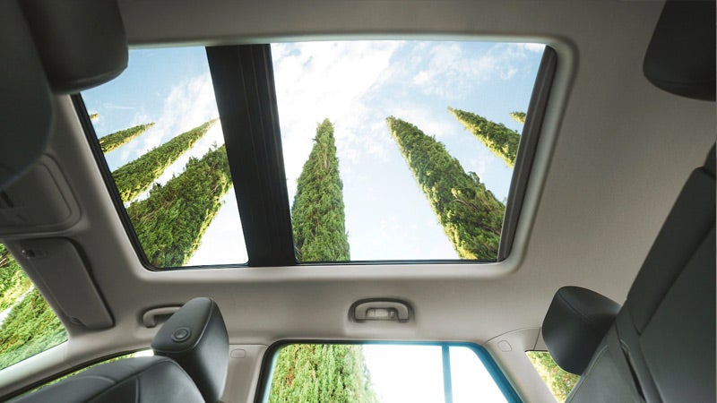 Griffin Buick GMC in MONROE NC