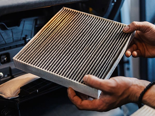 Cabin Air Filter Special