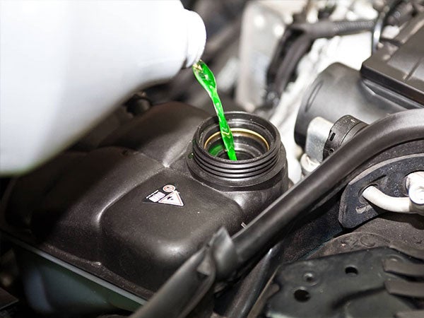 Coolant Flush Special